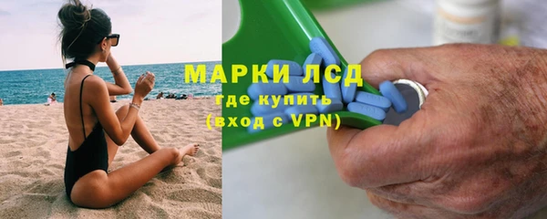 сатива Вяземский