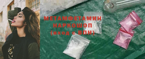 сатива Вяземский