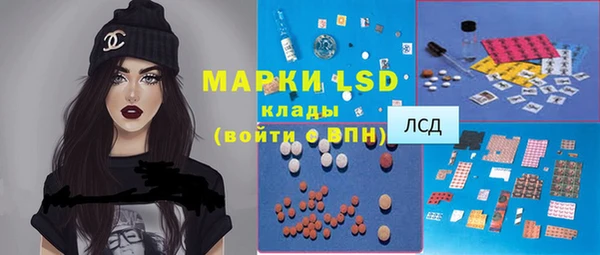 сатива Вяземский