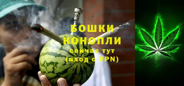 сатива Вяземский
