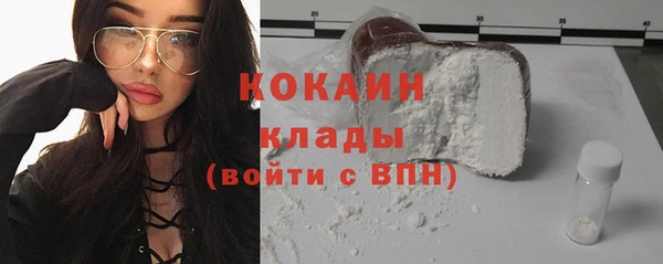 сатива Вяземский