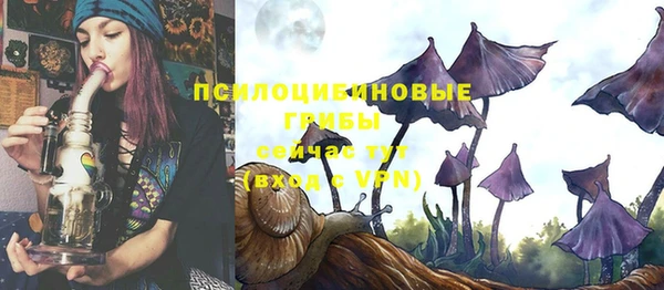 круглые Вязьма