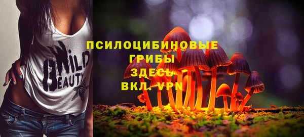 сатива Вяземский