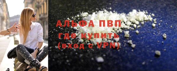 сатива Вяземский