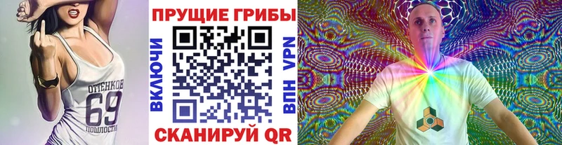 Псилоцибиновые грибы Magic Shrooms купить цена Вологда